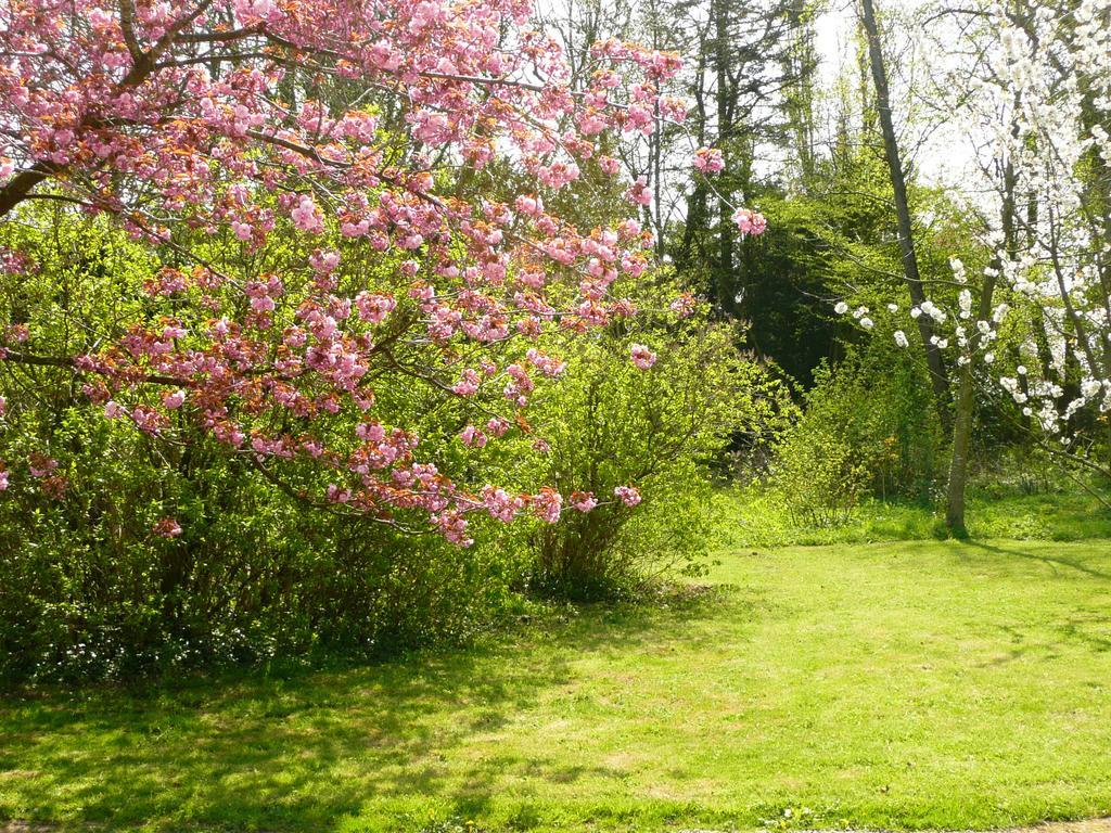 B&B Au Petit Tambour D'Autingues Eksteriør bilde